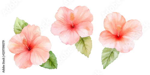 Soft Watercolor Illustration of Three Peach Hibiscus Flowers with Green Leaves on a White Background