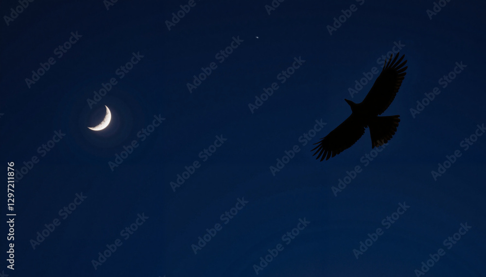 Fototapeta premium Flying bird beneath crescent moon in night sky, mystical symbolism