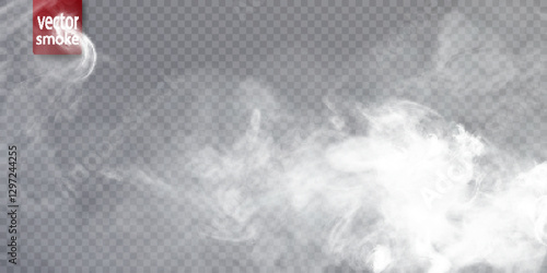White cloud, fog, smog, haze, steam. Vector 10 EPS transparent background PNG