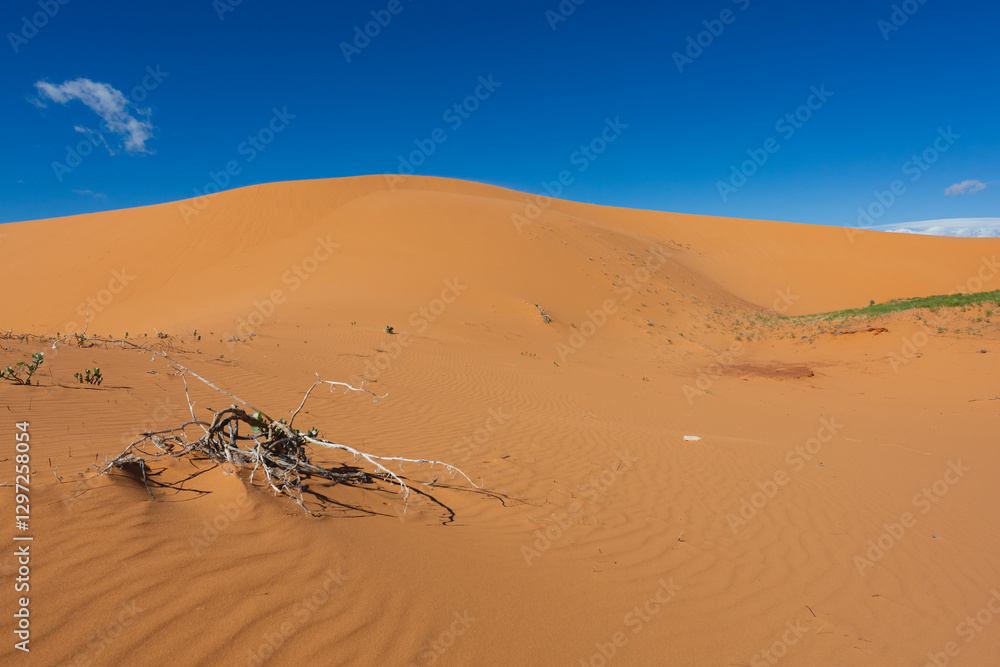 Obraz premium Waves of sand dunes in Utah.