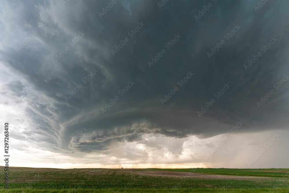 Supercell storm clouds gathering over green fields Supercell storm clouds gathering over green fields