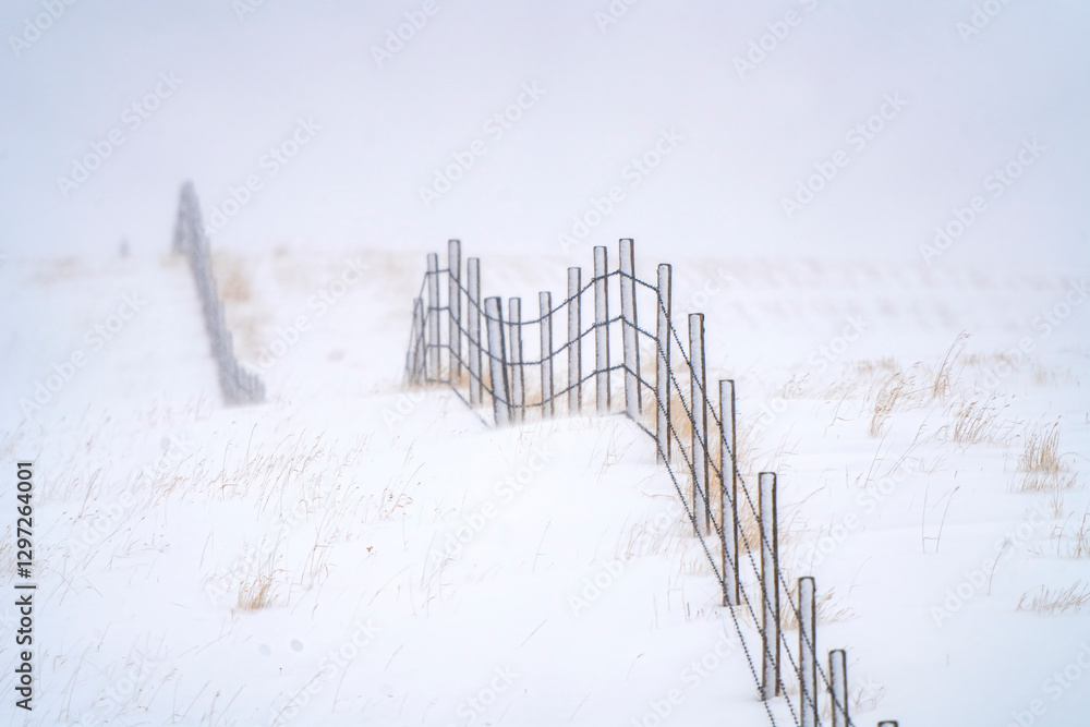 Wire fences stretching across snowy landscape in winter