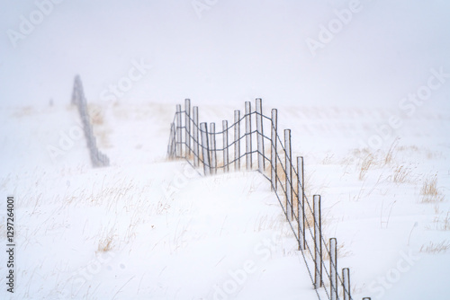 Obraz na płótnie Wire fences stretching across snowy landscape in winter w salonie