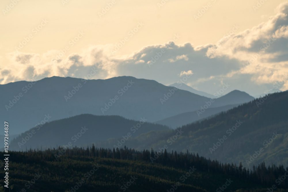 Mountain peaks and evergreen forest under a cloudy sky at sunset Mountain peaks and evergreen forest under a cloudy sky at sunset