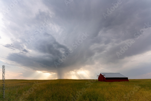 Dramatic rain shower passing over a red barn in the prairie