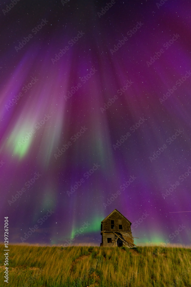 Northern lights illuminating an abandoned farmhouse in a field at night