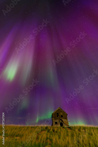Obraz na płótnie Northern lights illuminating an abandoned farmhouse in a field at night w salonie