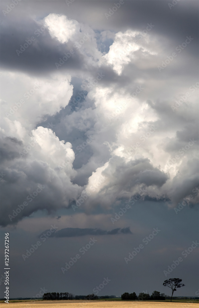Dark storm clouds gathering over a field of wheat