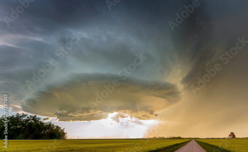 Obraz na płótnie Supercell storm cloud forming over canola field at sunset w salonie