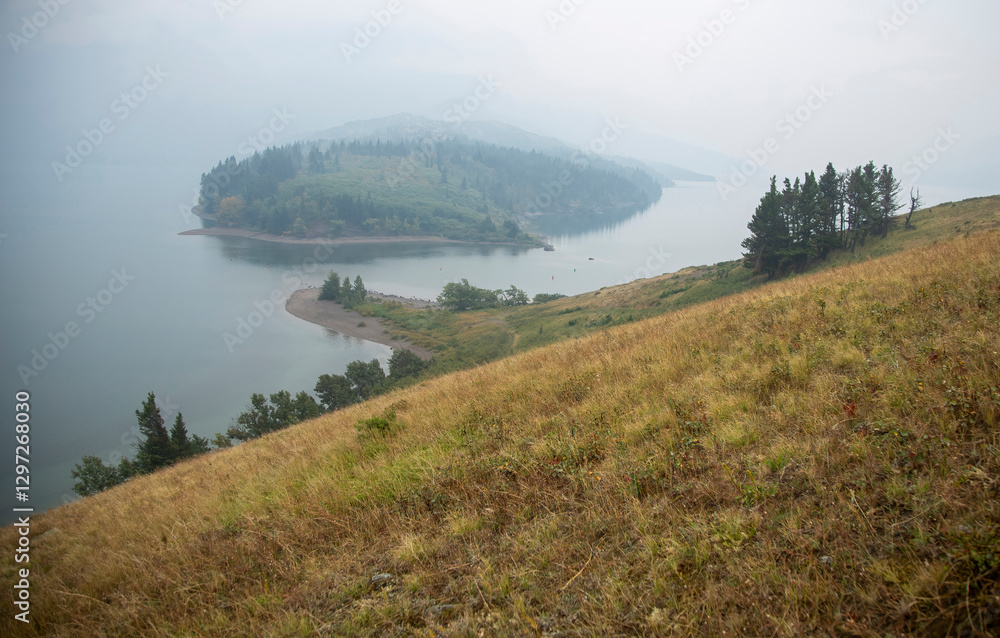 Grassy hillside overlooking forested island and lake on a foggy morning