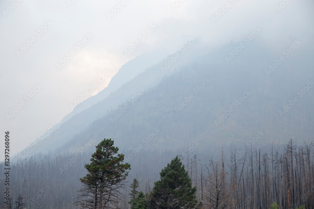 Smoke from wildfires obscuring mountain view in glacier national park