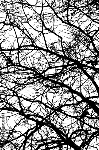 Monochrome silhouette of tree branches. hand drawing. Not AI Vector illustration