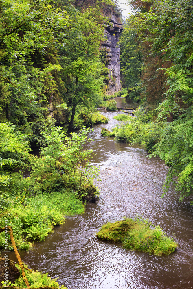 Summer natural landscape - view of the mountain river in the Elbe Sandstone Mountains, Bohemian Switzerland, the north-western Czech Republic