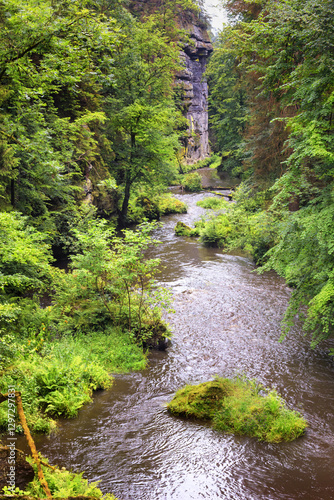 Obraz na płótnie Summer natural landscape - view of the mountain river in the Elbe Sandstone Mountains, Bohemian Switzerland, the north-western Czech Republic w salonie