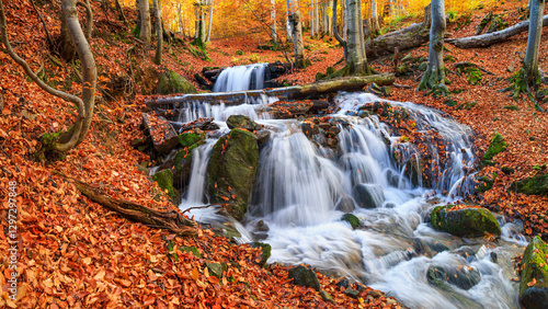 Obraz na płótnie Autumn landscape - view of a mountain river with a cascade of waterfallsin the autumn forest, Carpathians, Ukraine w salonie