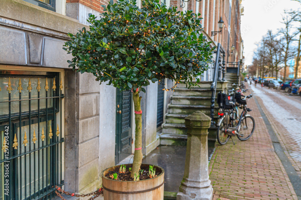 Christmas cityscape - view of a deciduous tree decorated with a glowing garland in the old town of Amsterdam during the holidays, the Netherlands