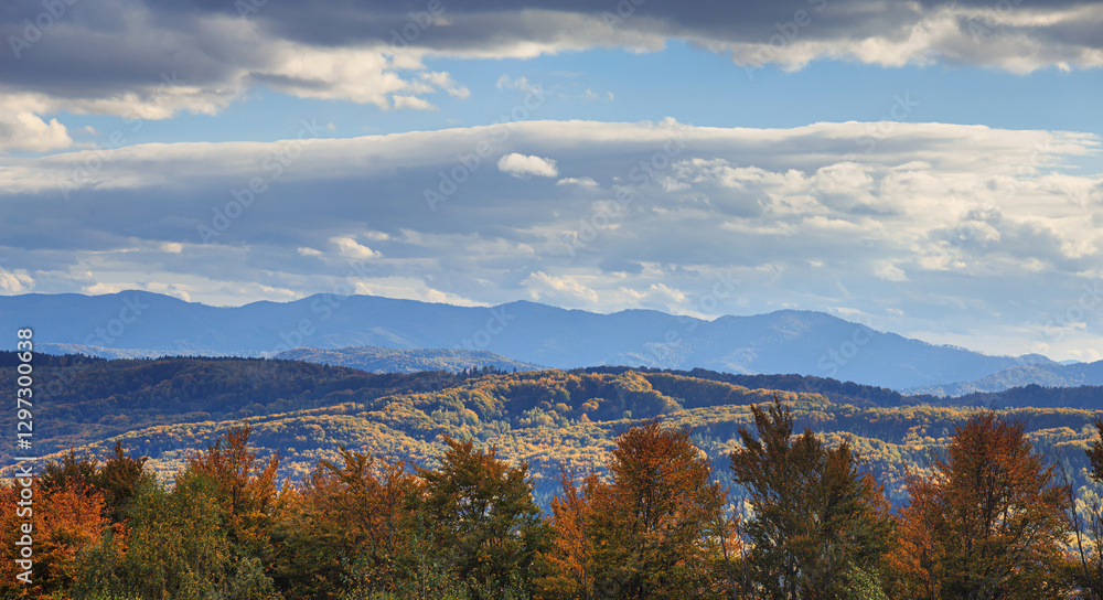 Autumn nature landscape - view of the Carpathian Mountains covered with autumn forest, in the Lviv region of Western Ukraine