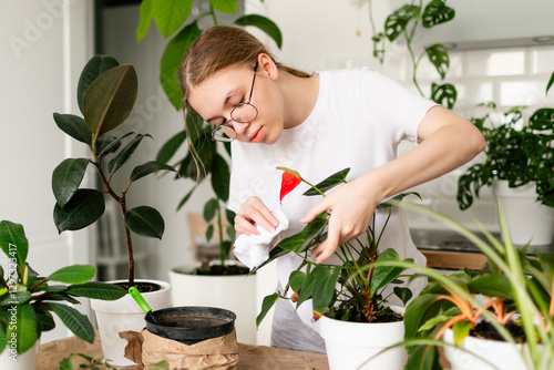 Teen girl in casual attire gently cleaning houseplants in a modern interior.