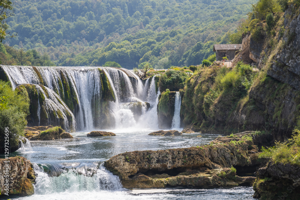Fototapeta premium waterfall in the forest