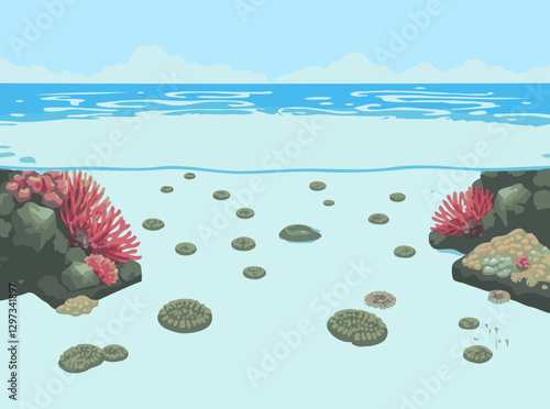 Coral Bleaching: Climate Change Impact Graphic