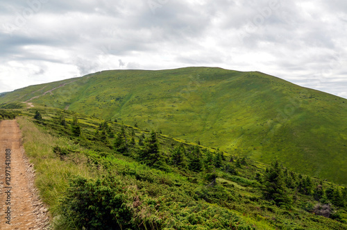 Wallpaper Mural Beautiful green mountain landscape showcasing serene hiking trail leading through lush scenery under cloudy sky. Ideal for depicting trekking and nature exploration. Carpathians, Ukraine Torontodigital.ca