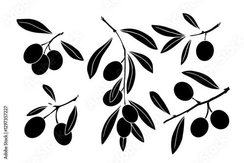Set of silhouettes of olive tree branches with berries.Vector graphics.