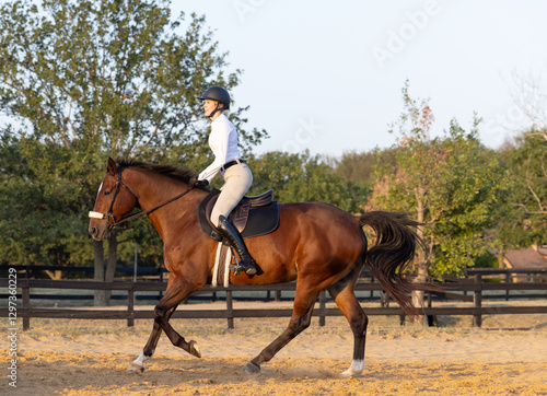 Photography Horse Equestrian hunter jumper riding portrait tack English attire  two point
