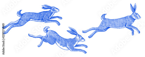 Hare or rabbit jumping. Wild animal running . Hand drawn or engraved sketch style traditional illustration, line work in ink for alcohol label