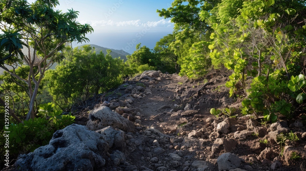 Hike guide photo shows a rugged, rocky path amid lush trees, leading to a stunning ocean view under a clear, blue sky. Hike guide photo shows a rugged, rocky path amid lush trees, leading to a stunning ocean view under a clear, blue sky.