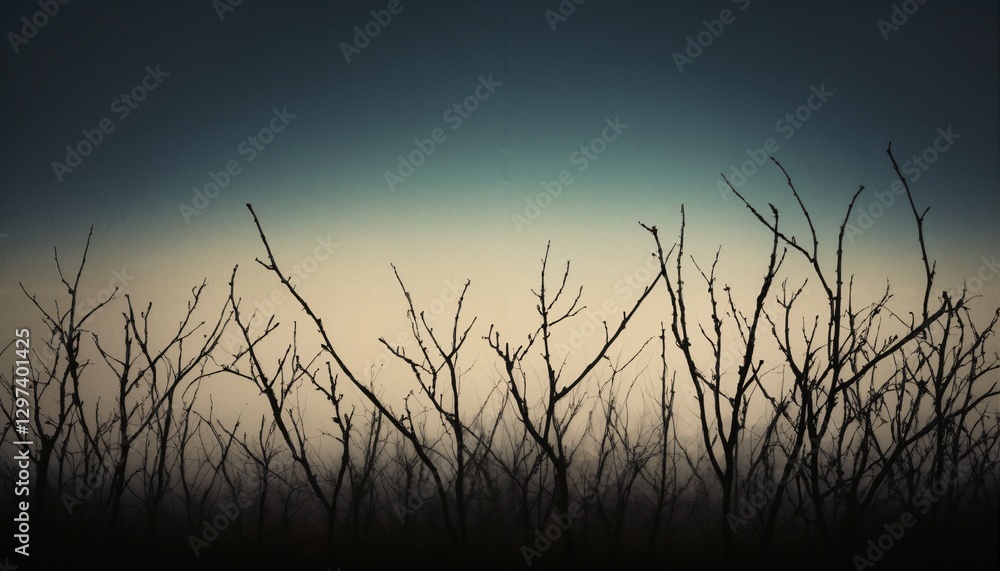 Obraz premium Bare Trees Against Fading Light