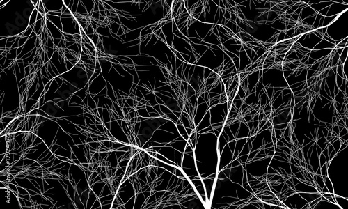 Abstract white roots pattern decorative black background. Line art tree. artistic vintage art.