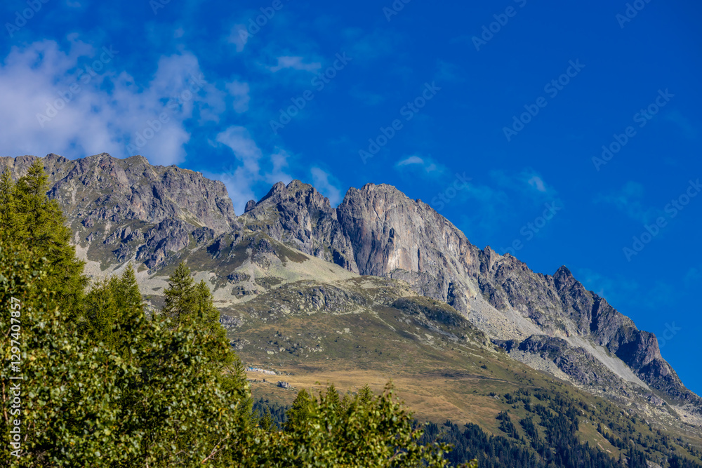 Obraz premium Tour du Mont Blanc beautiful alpine scenic view. Landscape of the summer Alps mountains with pocky peaks, blue ice glacier, green grass and blooming flowers. Alps in Italy and France hiking and trek