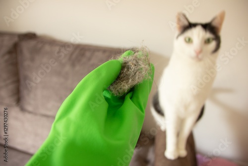 Woman cleaning cat hair. Hairball. House cleaning
