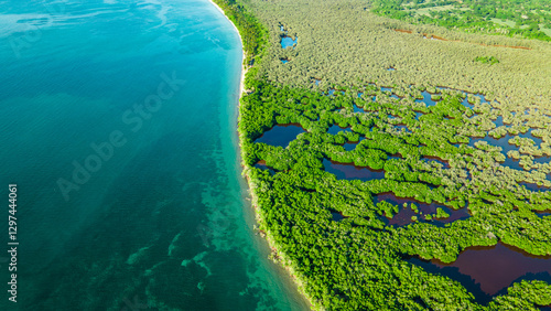 Fotografie Aerial View of Lush Mangroves Meeting the Caribbean Sea in Rincon del Mar, Sucre