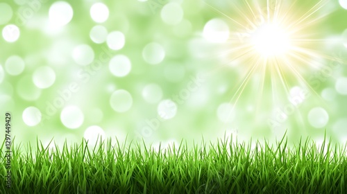 Bright sunshine illuminates green grass in a blurry background