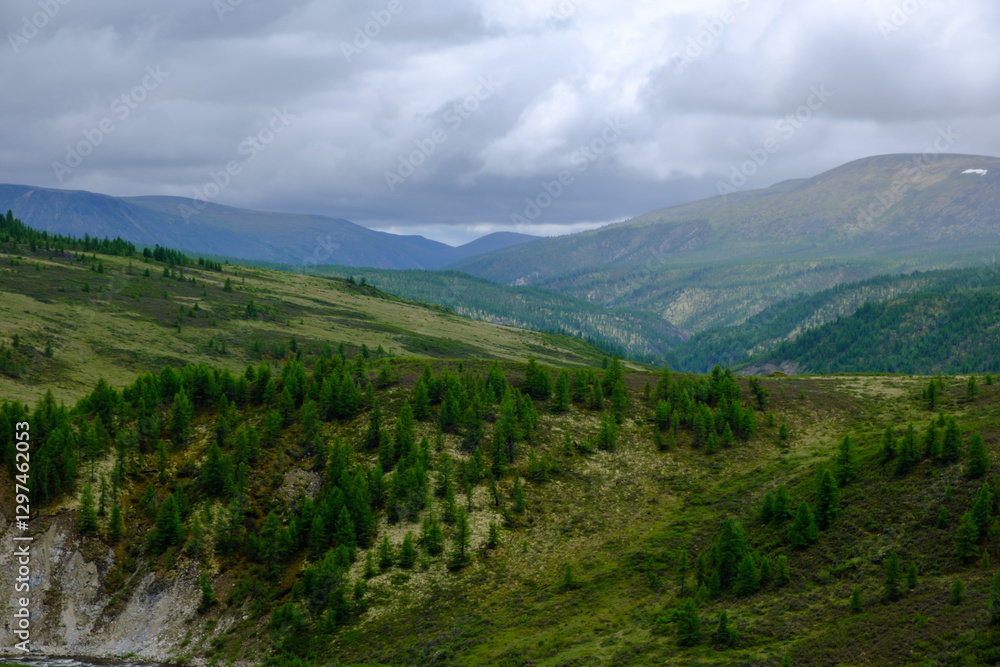 Landscape with mountains and coniferous forest cloudy summer day view from above Landscape with mountains and coniferous forest cloudy summer day view from above