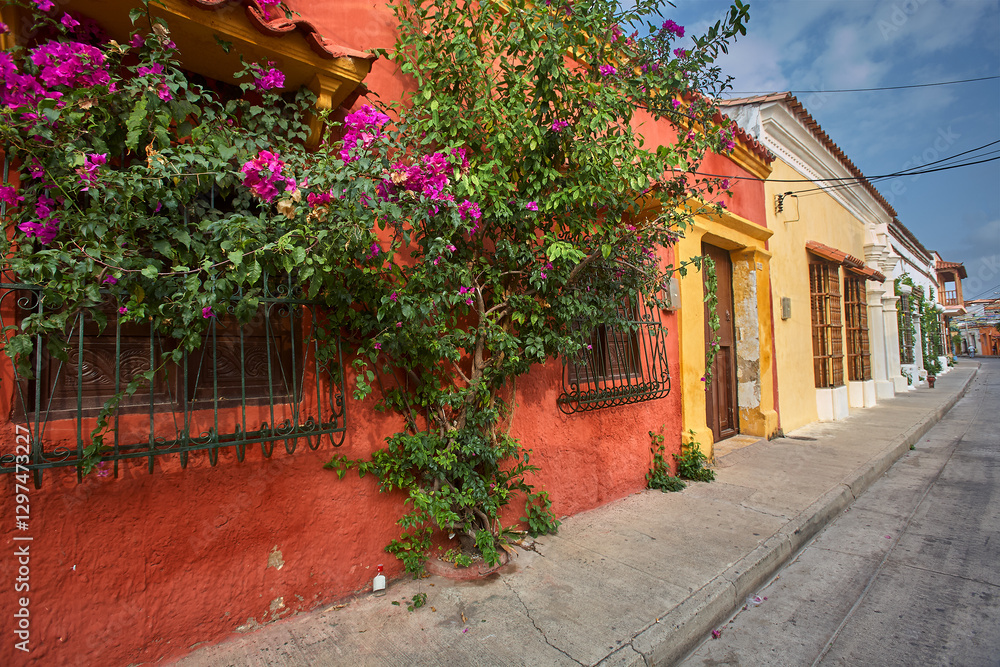 Fototapeta premium The streets of Cartagena burst with vibrant colors, colonial charm, and Caribbean vibes that make your heart dance. Colombia not Columbia.