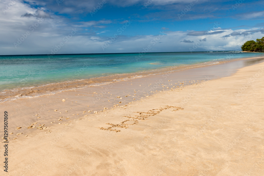 Tobago beach front seascape holiday word witten in the sand Tobago beach front seascape holiday word witten in the sand