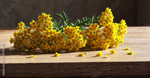 beauty flower colorful nature leaf floral bloom