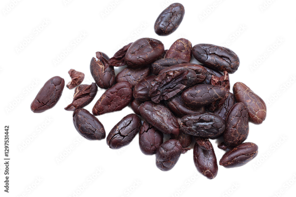 Cocoa beans isolated on white Cocoa beans isolated on white