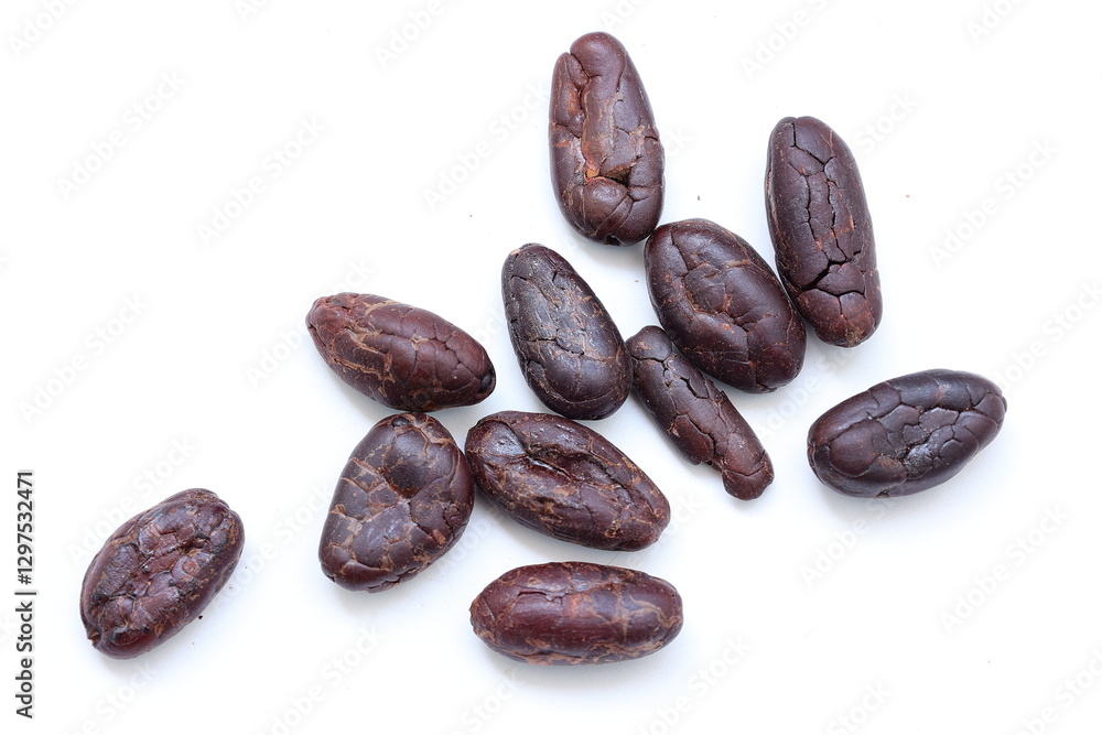 Cocoa bean isolated on white Cocoa bean isolated on white
