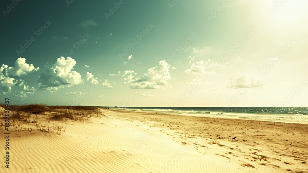 Serene Beach Landscape with Golden Sand and Blue Sky Serene Beach Landscape with Golden Sand and Blue Sky