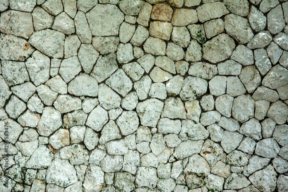 a white stone wall to serve as a backdrop a white stone wall to serve as a backdrop
