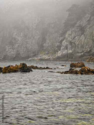 A serene coastal scene featuring rugged cliffs partially shrouded in mist. the calm waters contrast with the rocky shoreline, creating a tranquil atmosphere. vegetation clings to the cliffside, adding
