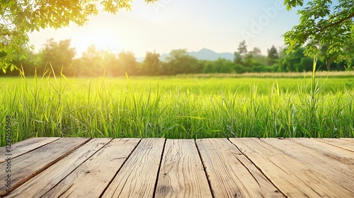 Bright Sunny Day in Lush Green Field with Wooden Table
