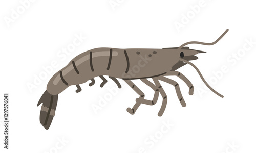 Prawn cartoon clipart. Cute alive shrimp or prawn vector illustration. Animal in flat style. Sea animals concept isolated on white background