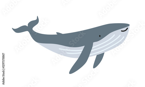 Humpback whale (Megaptera novaeangliae) cartoon clipart. Cute humpback whale vector illustration. Animal in flat style. Sea animals concept isolated on white background