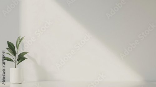 Serene Minimalism: A single...