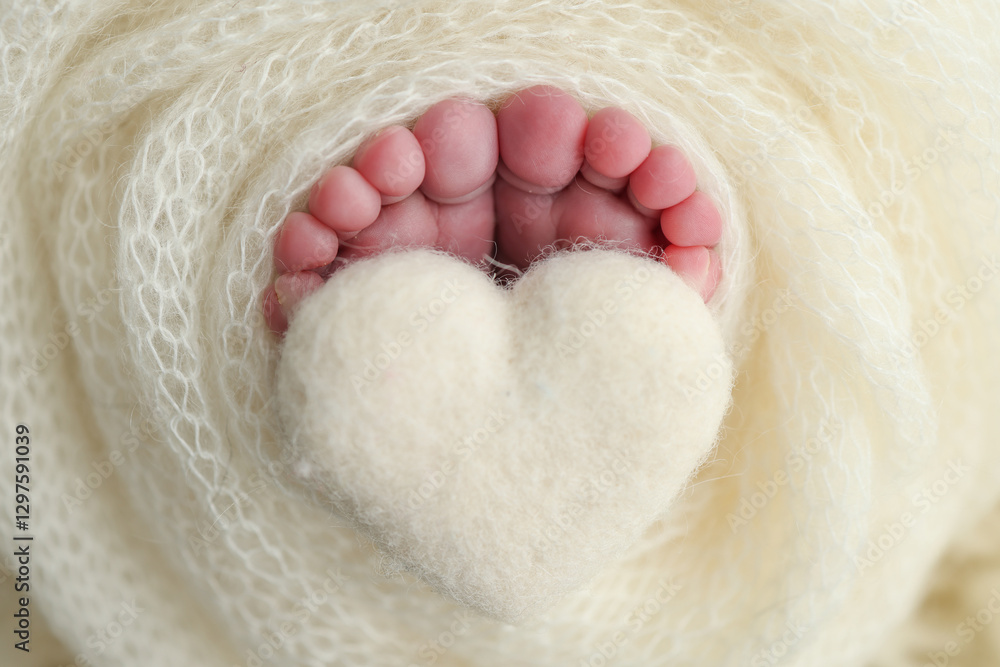 Soft feet of a new born in a white wool blanket. Close up of toes, heels and feet of a newborn. Knitted white heart in the legs of a baby. Macro photography.The tiny foot of a newborn baby Soft feet of a new born in a white wool blanket. Close up of toes, heels and feet of a newborn. Knitted white heart in the legs of a baby. Macro photography.The tiny foot of a newborn baby