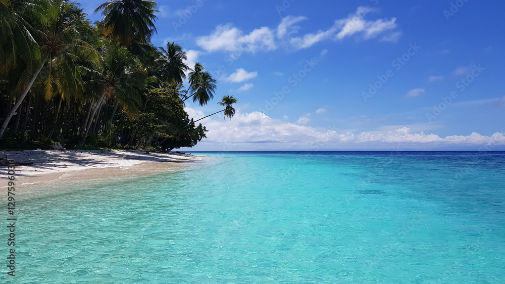 Naklejka premium beach with blue water sea and white sand look tropical vibes. Tropical beach with coconut tree and blue sky. beach on beautiful island